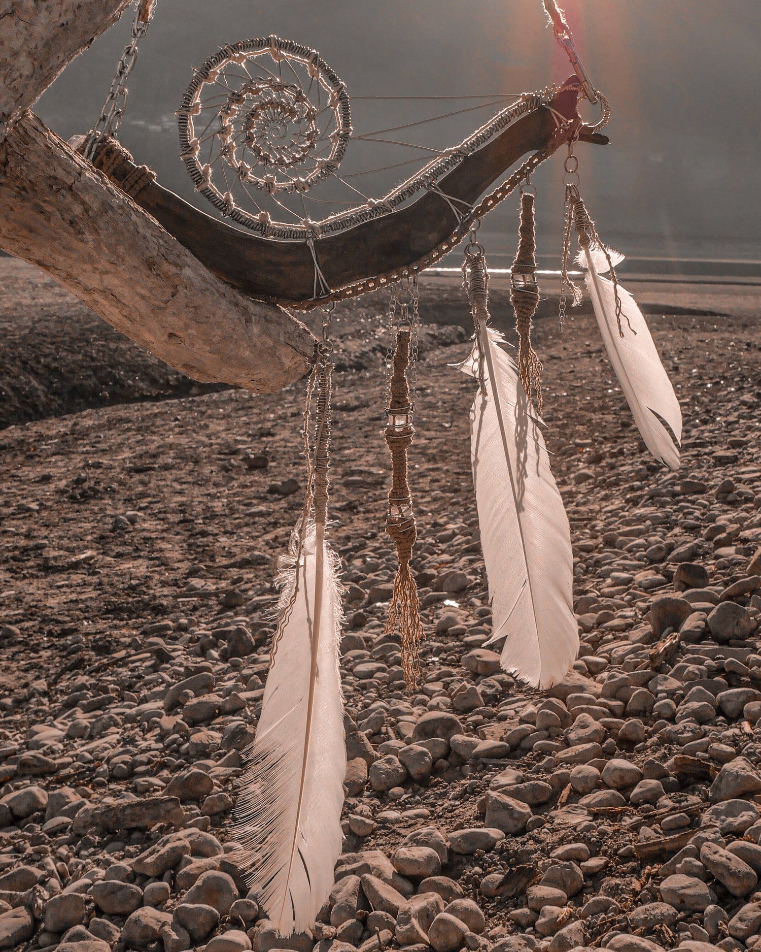 LightCatchers