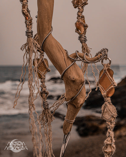 The SeaTree • Home Decor