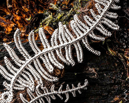 Ferns of Ice