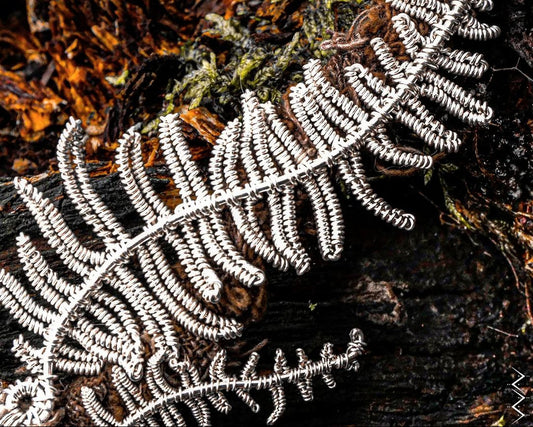 Ferns of Ice